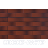 ELEWACJA-GLADKA-CIENIOWANA-ROT