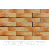 ELEWACJA-RUSTIKO-ATAKAMA