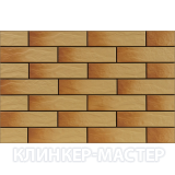 Elewacja-rustiko-gobi