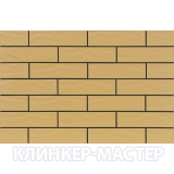 ELEWACJA-RUSTIKO-PIASKOWA