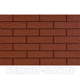 ELEWACJA-RUSTIKO-ROT
